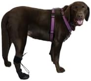 WALKABOUT™ Toe'sUP Anti-Knuckling Aid | Supportive 2-in-1 Dog Boot and Paracord Solution for Paw and Pad Protection | Rapid Pain Relief & Corrective Leg Support for Scraping Dragging Injuries (ML)