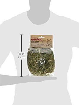 Rosewood Naturals Alfalfa Ring, Small Animal Treat and Toy for Rabbits, Guinea Pigs, Chinchillas and Degus (Pack of 1)