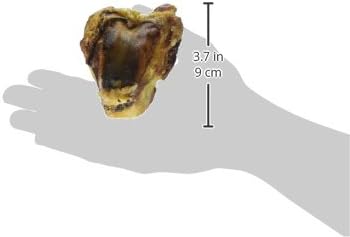 Scott Pet Grillerz Pork Knee Bone, 1 Count, Rawhide Free, All Natural Treat for All Breeds, High Protein, Long Lasting, Easy to Digest, for Adult Life Stage, Dog Chew for Healthy Teeth (Pack of 4)
