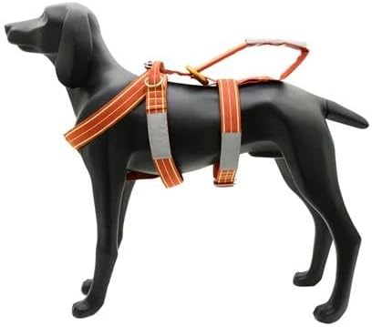 ALP Design Lait Dog Harness, Lightweight Floating Harness for Water Rescue, Training & Mobility Support, High-Strength Nylon, Polyester with Aluminum Buckles & Lifting Handle, Made in Italy