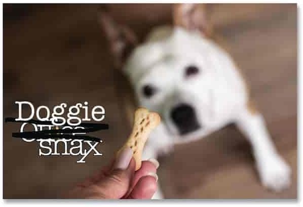Office Snax Doggie Snax, 10-Pound Box