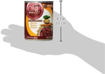 Purina ONE Natural Wet Dog Food Gravy, Tender Cuts in Gravy Beef and Barley Entrée - 13 Ounce (Pack of 24)