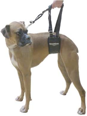 GINGERLEAD Dog Sling Support Harness, SM Female fits Small to Medium Size Pets or Larger Barrel Chested Dogs Like Boxers or Bullies. Padded Rear Lifting Aid with Leash. Made in U.S.A.
