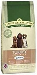 James Wellbeloved Complete Junior Dog Food with Turkey & Rice (2kg) (Pack of 4)