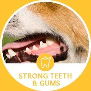 Beef Cow Tails for Dog Chews, 30 Pack, High Protein Dog Treats, 100% Natural Pet Treats, Long Lasting Chew for Dogs, Rawhide Alternative for Dogs Bulk 30 Pieces Bag