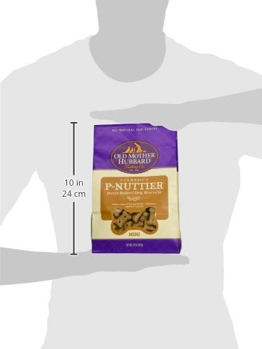 Wellpet 634417 6-Pack Extra Tasty P-Nuttier Biscuits, Mini, 20-Ounce