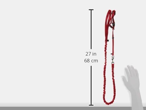 PetSafe Come With Me Kitty Harness and Bungee Leash, Medium, Red