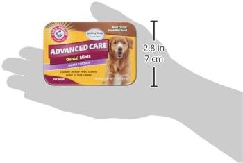 Arm & Hammer for Pets Tartar Control Dental Mints for Dogs | Dog Dental Mints Help Reduce Plaque & Tartar Buildup Without Brushing | Beef Flavor, 40 Count (Pack of 4)