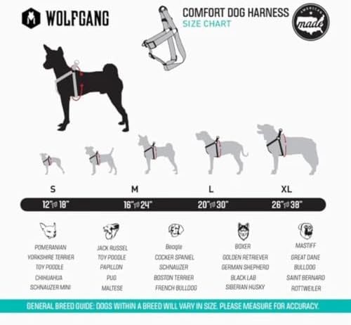 Wolfgang Heavy Duty Adjustable Dog Harness, Pull-Tested for Walking & Training, Mixtape Print, Small