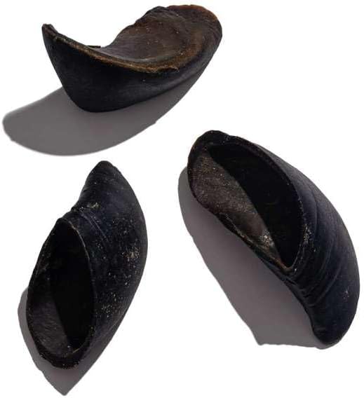 Jack & Pup Cow Hooves for Dogs, Natural Long Lasting Dog Hooves for Large and Small Breeds, Single Ingredient Cow Hoof, Dog Treats Alternative for Rawhide - 25 Pack