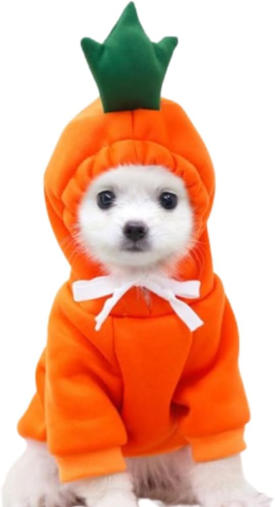 ANIAC Funny Pet Clothes for Small Dog Cat Carrot Dog Hoodies Warm Puppy Sweatshirt Coat with Fruit Hood Fall Cat Sweater Halloween Outfit Easter Dog Carrot Costume (Orange, XX-Large)