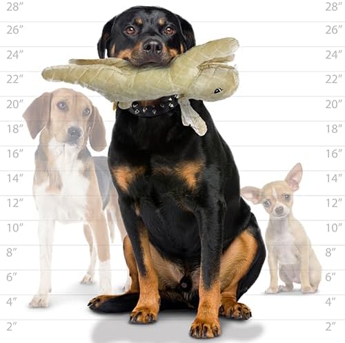 MIGHTY- Massive-Nature-Rabbit- Squeaker-Multiple Layers. Made Durable, Strong & Tough. Interactive Play Dog Toy (Tug, Toss & Fetch). Machine Washable & Floats