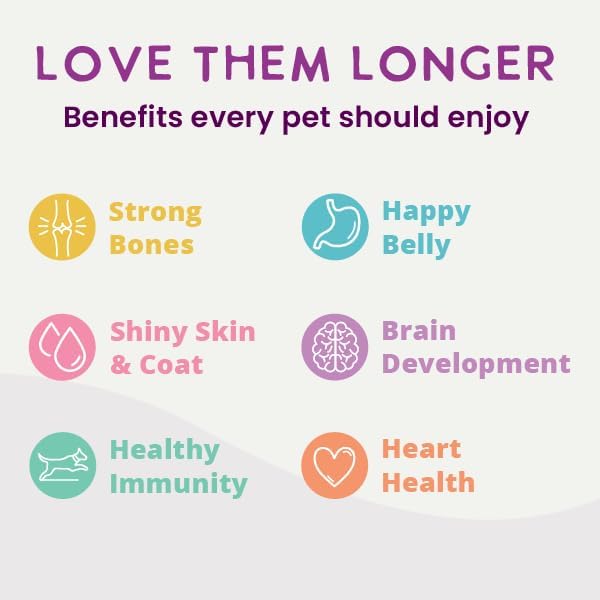 Health Extension Digestive Support Variety Pack Wet Dog Food, (9 oz, Case of 6 Cans) – Complete & Balanced with Superfoods & Gravy for Optimal Digestion