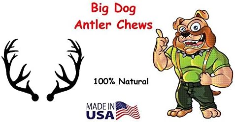 Whitetail Deer Antler Dog Chew, Medium, 8 Inches to 13 Inches Long, Natural, Healthy Long-Lasting Treat. for Medium to Large Size Dogs and Puppies.