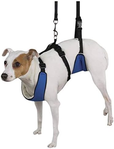 Guardian Gear Nylon Lift and Lead 4-in-1 Dog Harness, Small, Blue