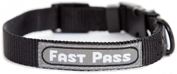 Metal Free Airport Travel Collar Leash Set Designed for Small Pets who fit Under seat of Airplane Metal Free to Speed up The Airport TSA Inspection Process (Large 11-14 inch)