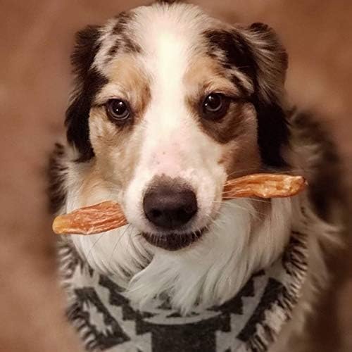 Beef Tendons for Dogs Made in USA. 6-10 Inch Grass Fed Farm-Raised American Beef Dog Treats. All Natural Dog Dental Chews. Grain Free Odor-Free Chews 5 Count