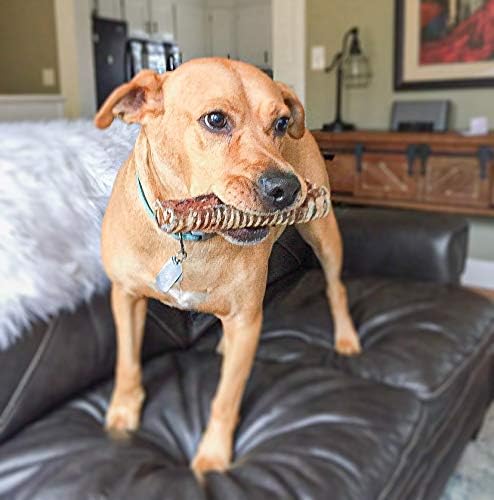 Dog Chews – Beef Trachea Dog Treat Chew Made in USA. Grass Fed Farm-Raised American Beef. Glucosamine Rich for Healthy Joints. All Natural Dental Chew (7" 16 OZ)