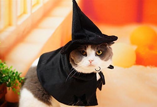 Cute Hooded Cloak Witch/Wizard Halloween Holiday Costume for Small Dogs & Cat Kitten, Cat Halloween Costumes