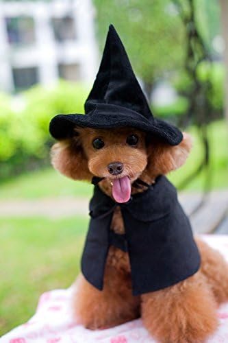 Hooded Cloak Witch/Wizard Costume for Medium Pets, Dog Halloween Costume Hat Cape, Black Dog Witch Costumes
