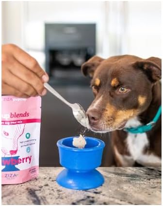 ZIZA PUPCUP Blends - Frozen Dog Treats Mix, Dog Ice Cream, Natural Ingredients, High-Protein, Pre-Made Ice Cream Mix, Refill for ZIZA PUPCUP, Real Fruit Pieces, 7 Servings for Small Dogs, Strawberry