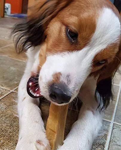 Yeti Dog Chew - Yak Cheese Himalayan Dog Chews - Healthy Long Lasting - Yak Chews for Large, Medium and Small Dogs - Yak Bones for Dogs - Natural Yak Cheese Dog Chews - Large, 7 oz, 2 Piece