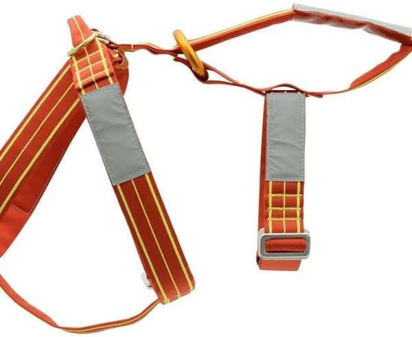 ALP Design Lait Dog Harness, Lightweight Floating Harness for Water Rescue, Training & Mobility Support, High-Strength Nylon, Polyester with Aluminum Buckles & Lifting Handle, Made in Italy