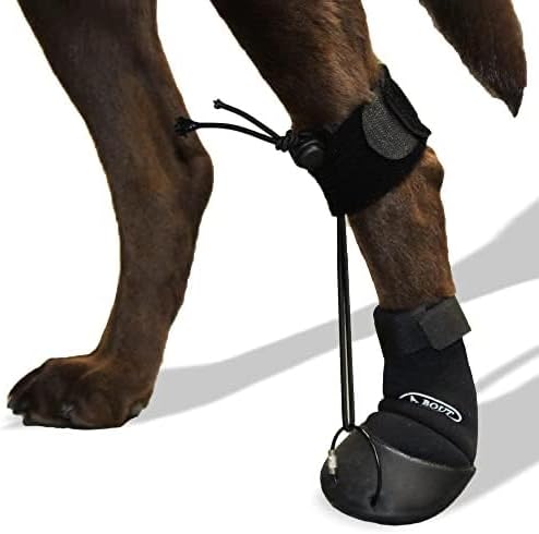 WALKABOUT™ Toe'sUP Anti-Knuckling Aid | Supportive 2-in-1 Dog Boot and Paracord Solution for Paw and Pad Protection | Rapid Pain Relief & Corrective Leg Support for Scraping Dragging Injuries (ML)