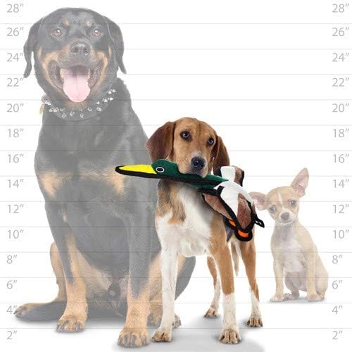TUFFY - World's Tuffest Soft Dog Toy -Barnyard- Multiple Layers. Made Durable, Strong & Tough. Interactive Play (Tug, Toss & Fetch). Machine Washable & Floats. (Duck, Jr 2 Pack)