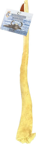 QT Dog Water Buffalo Tail - Long-Lasting 100% All-Natural Dog Chew, Ethically Sourced Protein-Packed & Low Fat Dental Chews, Ideal for All Breeds & Aggressive Chewers