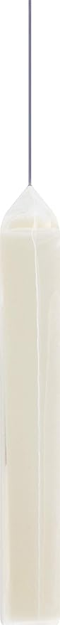 Pet Factory 100% Made in USA Beefhide 5" Chip Rolls Dog Chew Treats - Natural Flavor, 5 Count/1 Pack