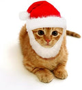 Santa Dog Cat Costume