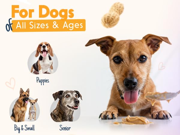 BUDDY BUDDER Superberry Snoot, 100% Natural Dog Peanut Butter, Peanut Butter Dog Treat, Made in USA (17oz)