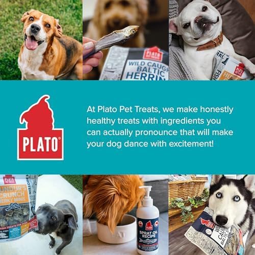 PLATO Pet Treats Fish Dog Treats - Air-Dried, Single Ingredient Dog Treat - with Omega 3 & 6 Fatty Acids to Support Skin and Coat - Cod Fish Skin - Hundur’s Crunch Jerky Fingers - 10 oz - 2 Pack