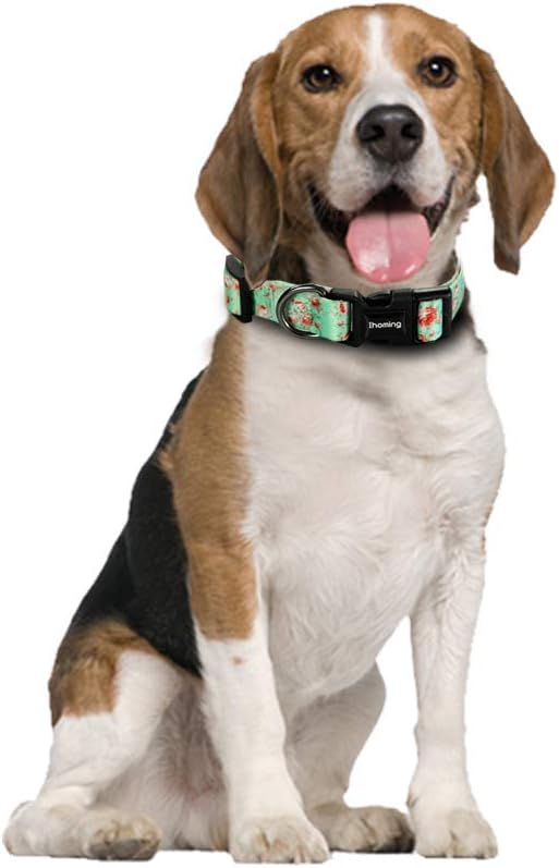 Ihoming Dog Collar and Leash Set for Daily Outdoor Walking Running Training, Floral GreenLake Design for Small Boys Girls Dogs Cats Pets, S-Up to 20LBS