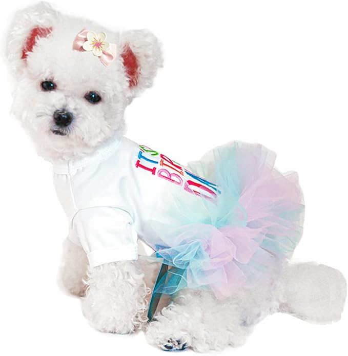 ANIAC Girl Dog Birthday Tutu Dresses Puppy Lace Skirt and Hairpin Cat Birthday Princess Dress Pet Clothes for Cats Small Dogs (Small, White)