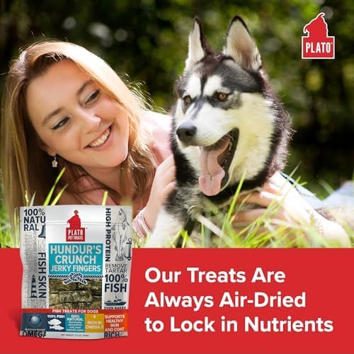 PLATO Pet Treats Fish Dog Treats - Air-Dried, Single Ingredient Dog Treat - with Omega 3 & 6 Fatty Acids to Support Skin and Coat - Cod Fish Skin - Hundur’s Crunch Jerky Fingers - 10 oz - 2 Pack