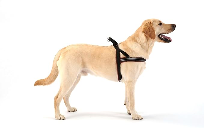 ComfortFlex Sport Dog Harness – No-Choke, Fully Padded, Non-Chafing Harness with Control Handle – Reflective, Lightweight, Adjustable for Active Dogs - Small, Raven Black