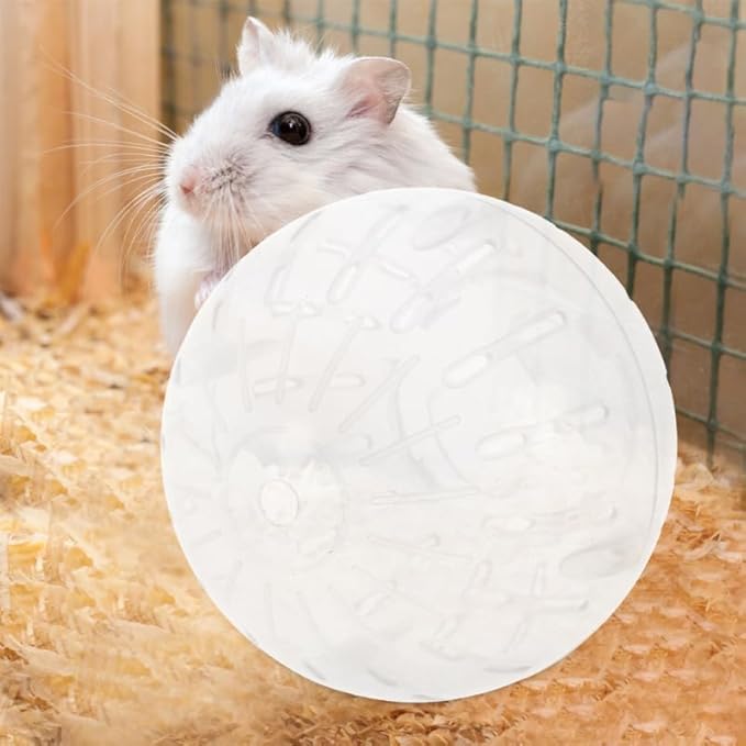 POPETPOP 4 Inch Hamster Running Ball Toy Transparent Exercise Ball for Small Pets Safe and Smooth Rolling Small Animal Activity Wheel