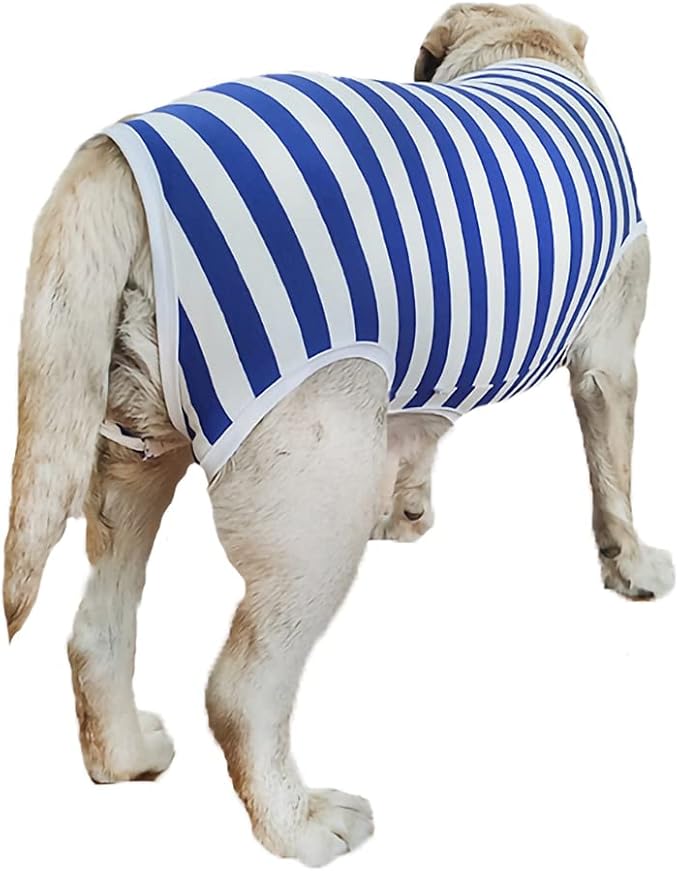 Dog’s Recovery Suit Post Surgery Shirt for Female Male Dog, E-Collar Alternative Wound Protective Clothes (blue-white-2xl)