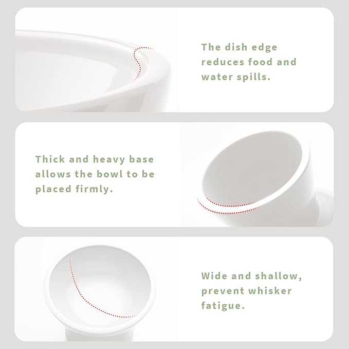CEEFU Extra Wide Elevated Ceramic Cat Bowl - 6.2" Shallow Dish for Whisker Fatigue Relief, 5" Height for Easy Feeding, Lead & Cadmium Free, Durable Raised Cat Food Bowls, White