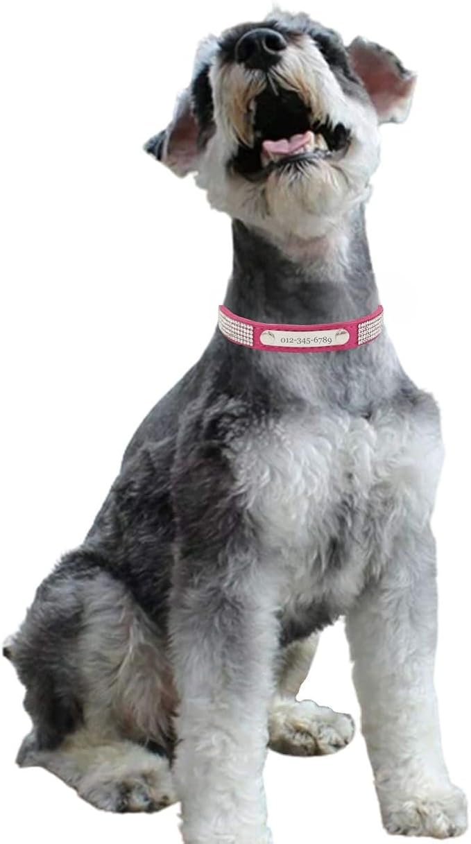 THAIN Rhinestones Personalized Dog Cat Collar Bling Diamond with Engraved Stainless Steel Nameplate for Small Medium Large Dogs (Rose Red Set, XS)