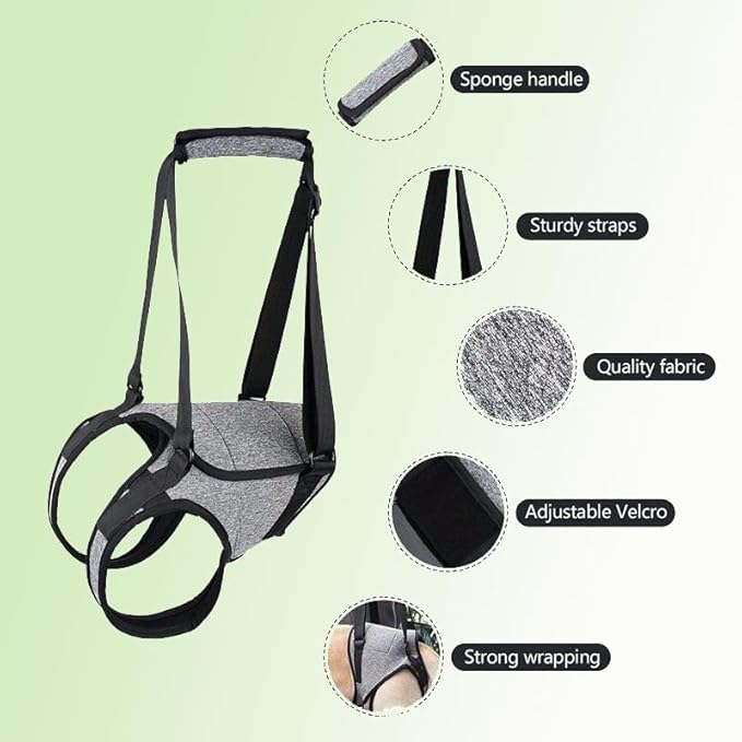 Dog Rear Leg Support Harness – Adjustable Mobility Sling for Senior Disabled Injured Dogs, Hip Joint Lift Harness for Small Medium Large Dogs, Padded Handle, Breathable & Easy to Use (L)