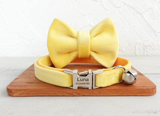 Cat Collar Personalized with Name Phone Number Engraved,Customized with Bell for Small Dogs Puppy Kitten