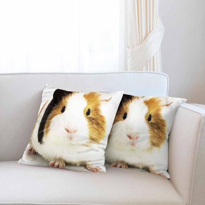 Throw Pillow Covers Funny Small Guinea Pig Sitting Pillowcase Decor for Room Bed Chair,18X8 Inch Set of 2