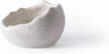 Galápagos (05457) Heavyweight Ceramic Egg Dish - Hygienic, Spill-Proof Bowl for Reptile & Terrarium Habitats, Perfect for Bearded Dragons, Geckos, Snakes, Hermit Crabs & More, Small (3in x 2.75in)
