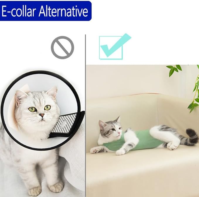 kzrfojy Cat Recovery Suit Cat Onesie for Cats After Surgery Female Male Spay Kitten Neuter Surgical Bodysuit Post Surgery Cone of Shame Alternative Anti Licking (Green, Large)