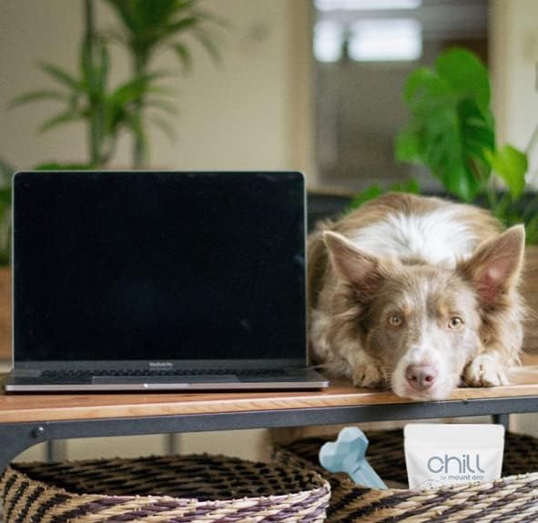 CHILL Bites Calming Dog Treats for Relaxation, Made with Sweet Potato, Valerian Root, & Melatonin for Dogs