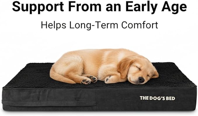 The Dog’s Bed Orthopedic Memory Foam Dog Bed for XL Dogs, Waterproof Washable Cover, Anti-Slip Base, Calming Surface – CertiPUR-Certified Foam, Black Plush, 6 Inch Thick