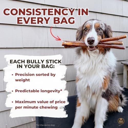 Bully Bunches Premium 6 Inch Standard Odor-Free Bully Sticks for Small to Medium Dogs & Puppies - Consistently Sized, Long Lasting Chews for Oral Care - All Natural, 100% Beef Dog Treats (10 Pk)